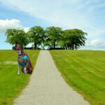 Halloween Superman Costumes For Dogs